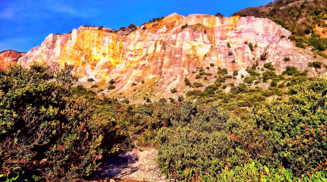 Landslide. Before Papandayan's Crater. August 2014.