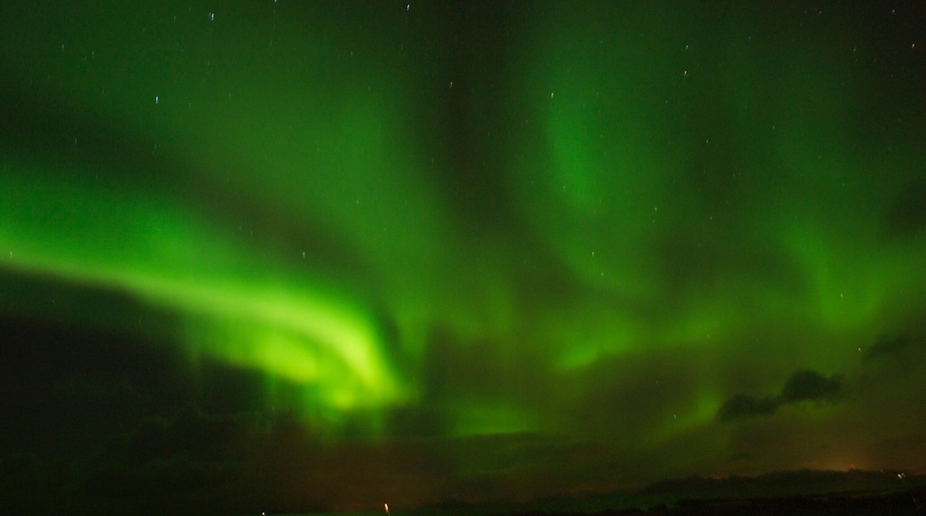 Taken in Hov, Lofoten in Norway on 12/2/2016 after day after day of awful weather. Snow, sleet, gale.. you name it. We almost lost hope after days of not seeing the sky. We tried the night before without any success. And then this happened..it was all worth it.