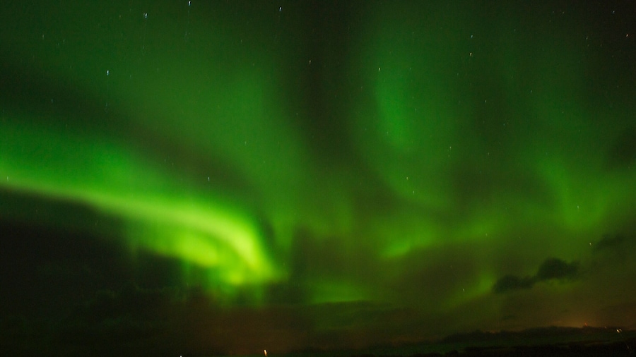 Taken in Hov, Lofoten in Norway on 12/2/2016 after day after day of awful weather. Snow, sleet, gale.. you name it. We almost lost hope after days of not seeing the sky. We tried the night before without any success. And then this happened..it was all worth it.