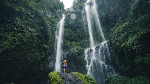 Panoramic view of the Sekumpul Waterfall is one of Bali's most scenic natural attractions.