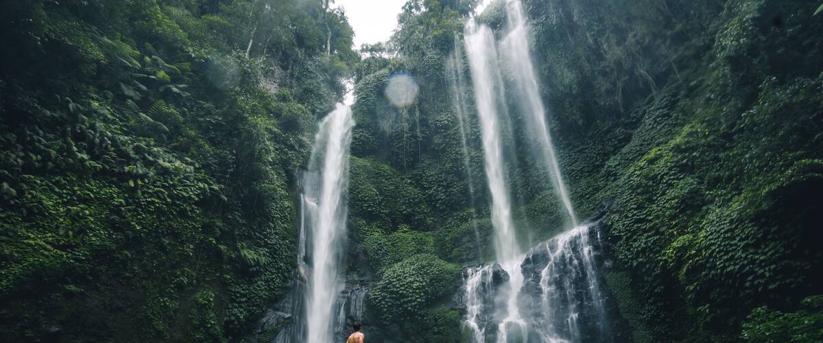 A waterfall in a lush green forest with a person standing on a rock.