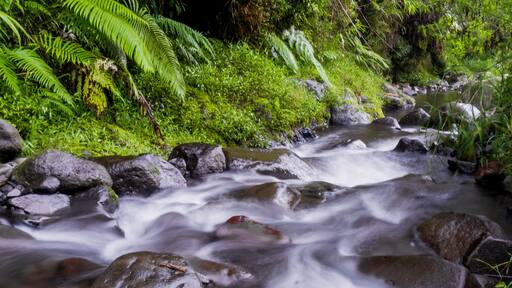 River stream with smooth, silky water and vibrant green plants captured with a slow shutter speed in Permadi Guci, Tegal