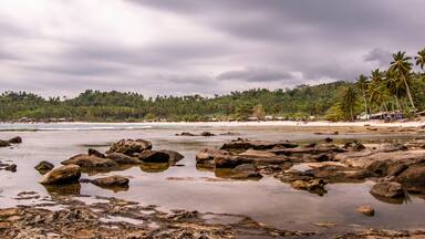 A rocky beach with palm trees and a forested hill in the background.
