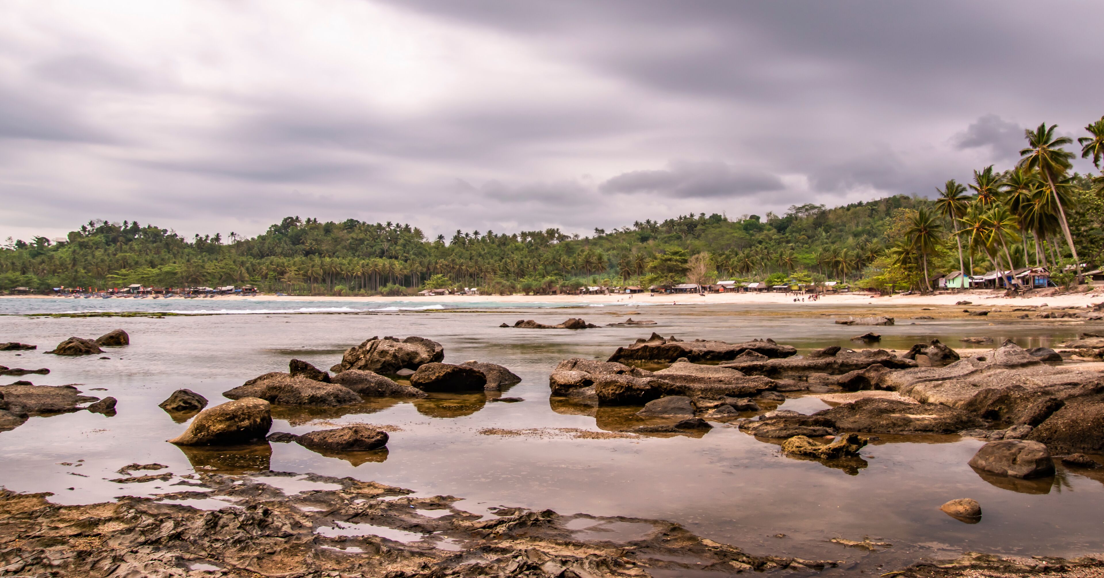 A rocky beach with palm trees and a forested hill in the background.