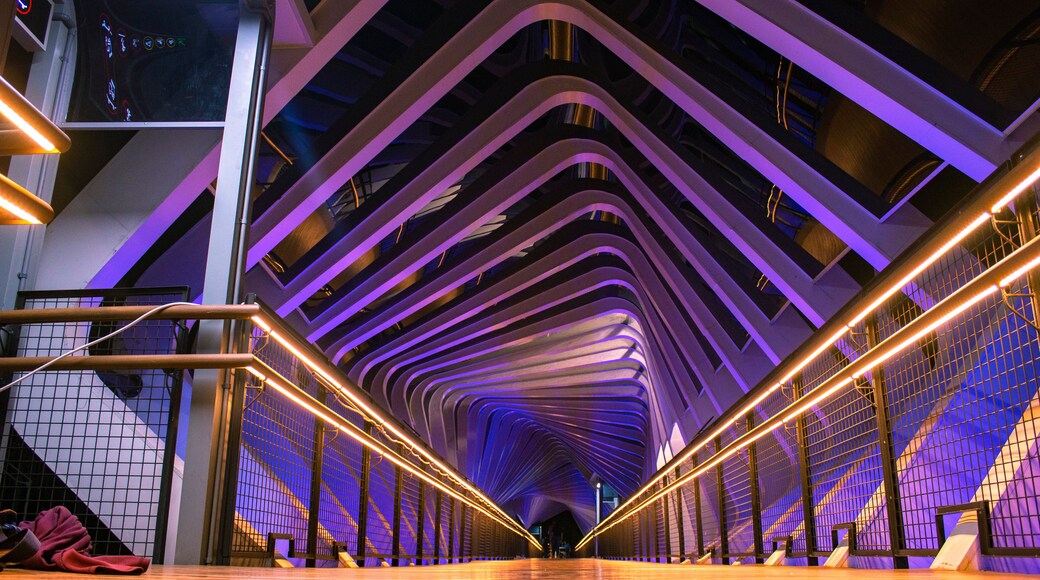 A modern architectural structure with a curved ceiling and illuminated lines.