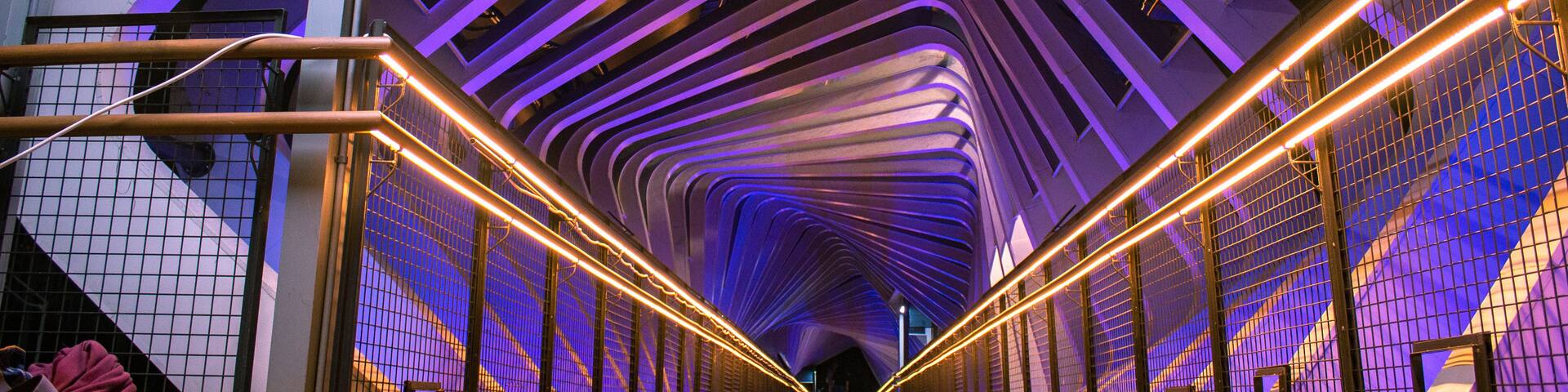 A modern architectural structure with a curved ceiling and illuminated lines.