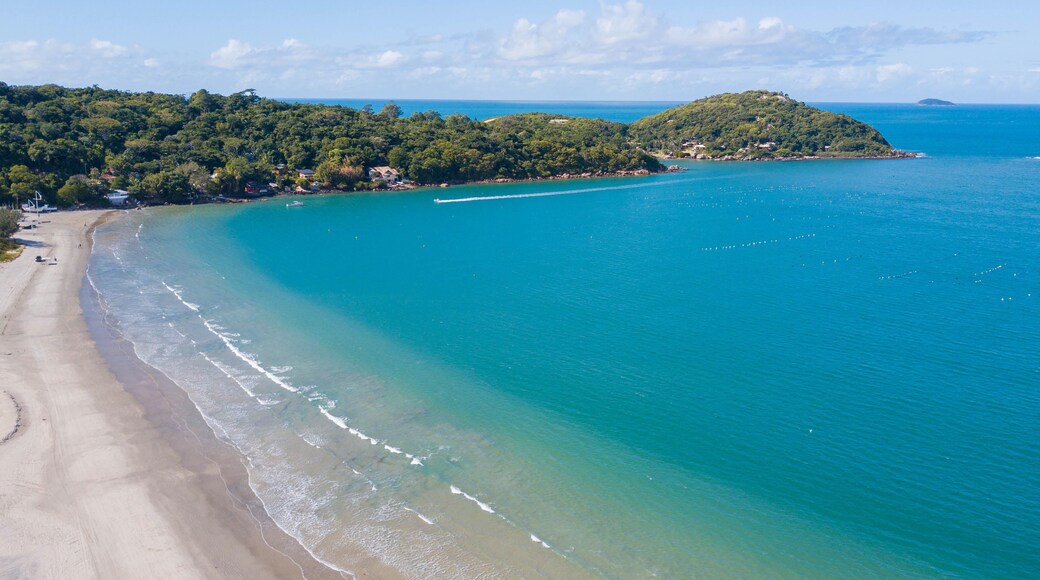 Ponta do Papagaio
