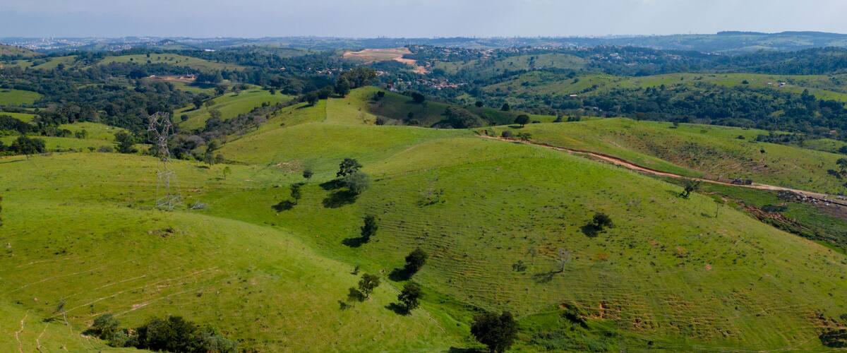 Aerial image of pine trees and houses in the middle of the forest in the interior of Brazil. Green, blue sky and immensity. City Joaquim Egidio next to Sousas.
