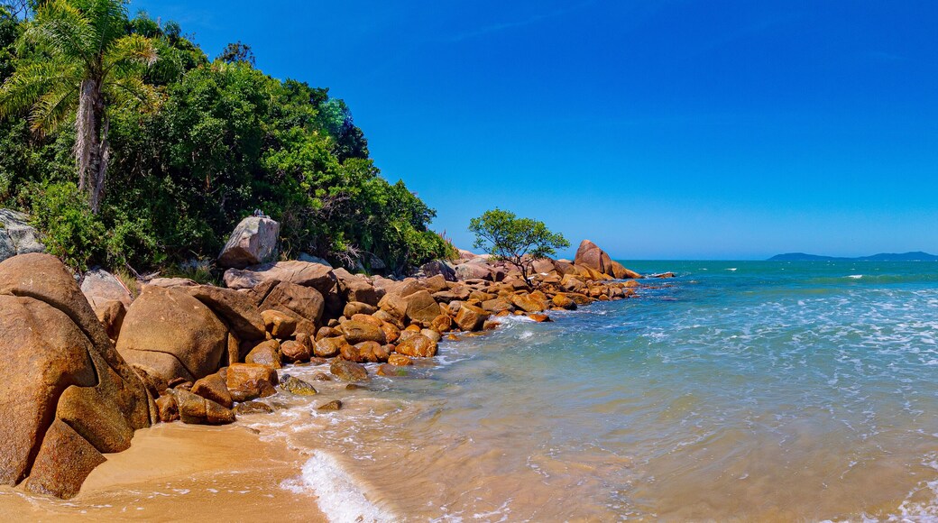 ์นธํฌ ๋ ํฌ๋ฅด์น