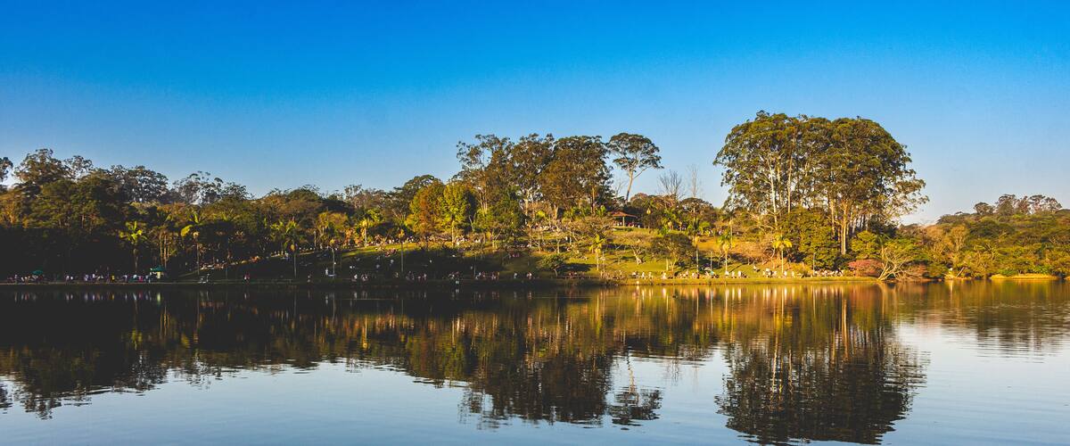 A calm lake with reflections of trees and a clear blue sky.