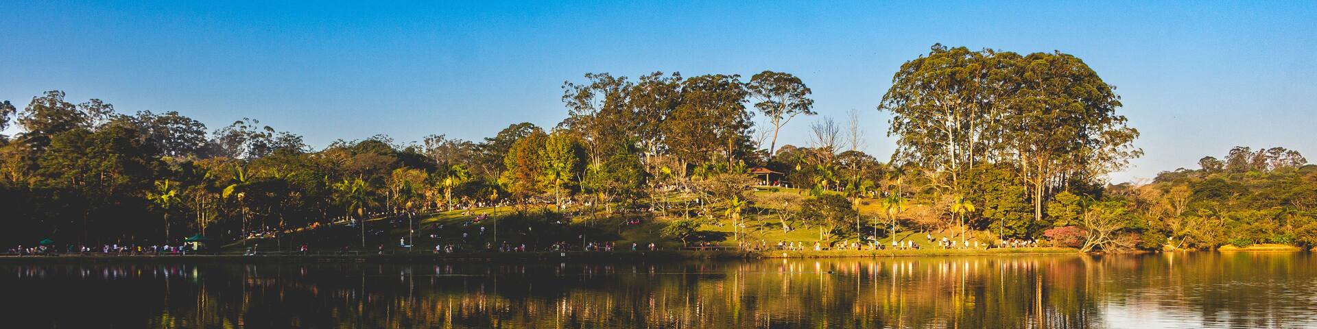 A calm lake with reflections of trees and a clear blue sky.