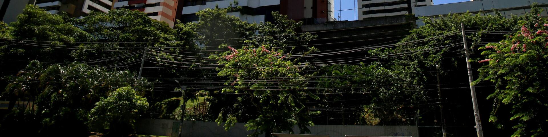 salvador, bahia, brazil - december 9, 2020: view of residential building in Brotas neighborhood in the city of Salvador.
