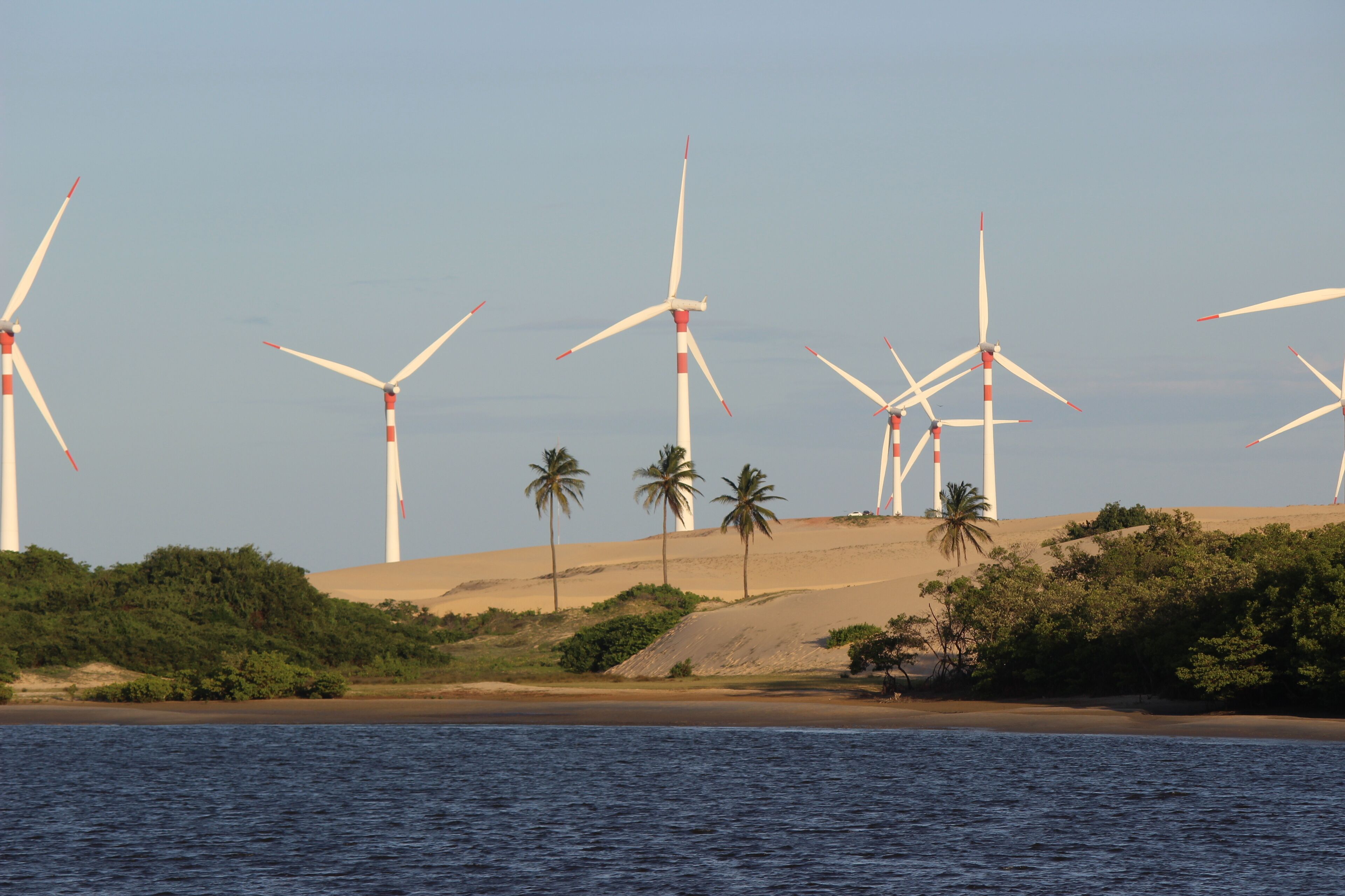 Wind turbines, palm trees, and a beach.
