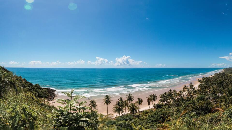A tropical beach with palm trees and ocean waves.