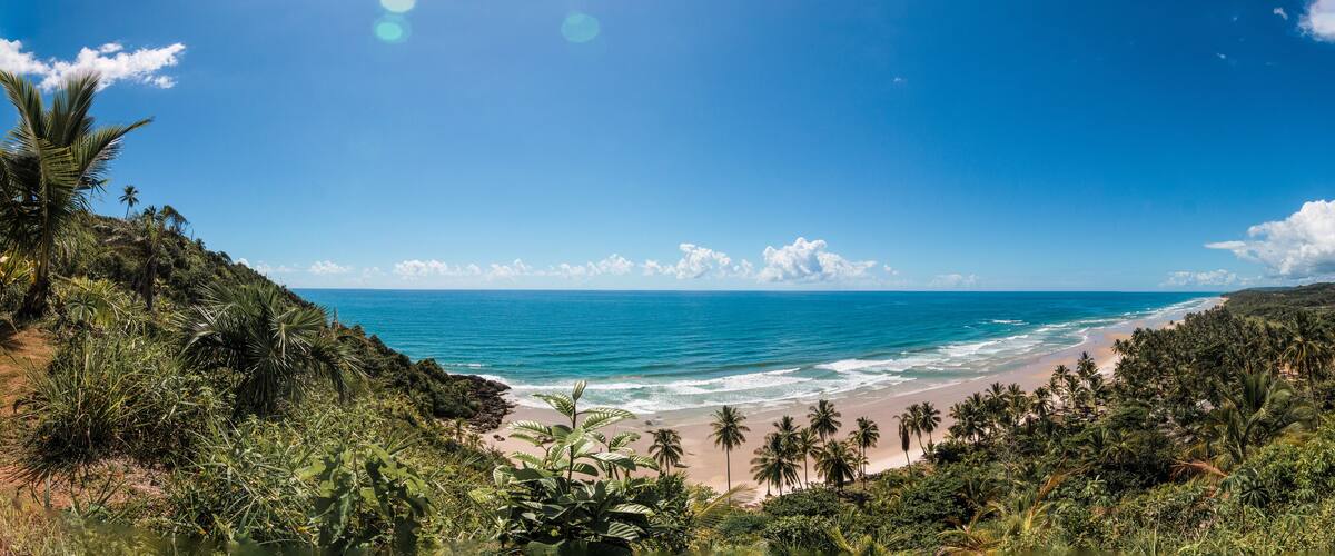 A tropical beach with palm trees and ocean waves.