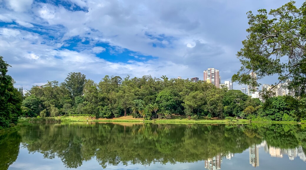 Lake and the Aclimação Park in São Paulo, Brazil