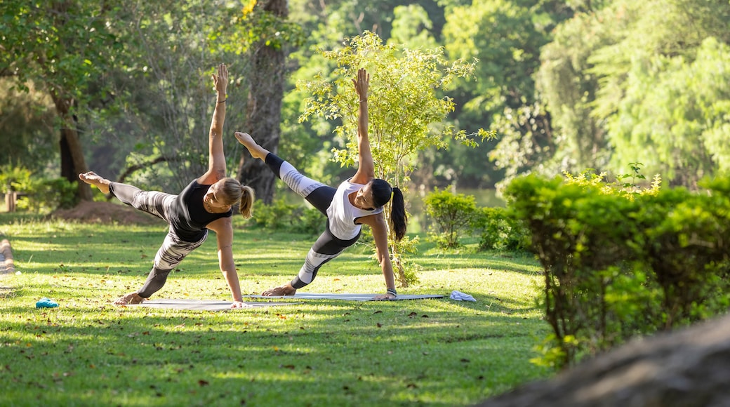 two women practicing yoga in a park, Barueri, São Paulo, Brazil