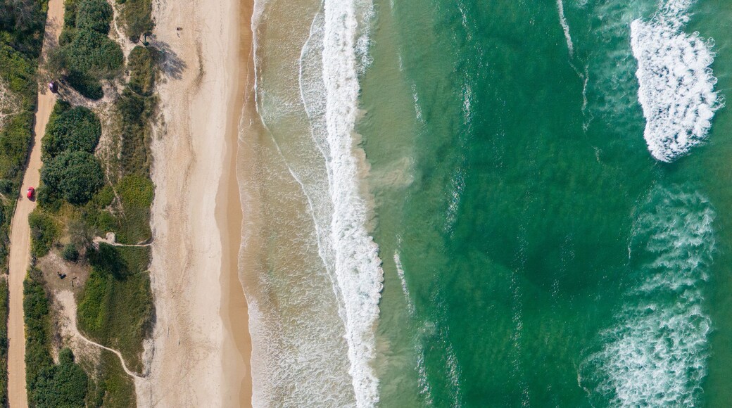 Ein Strand mit Wellen, Sand und viel Grün.