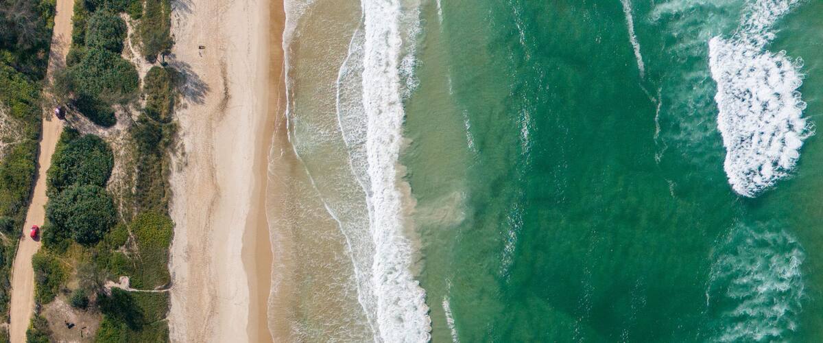 A beach with waves, sand, and greenery.