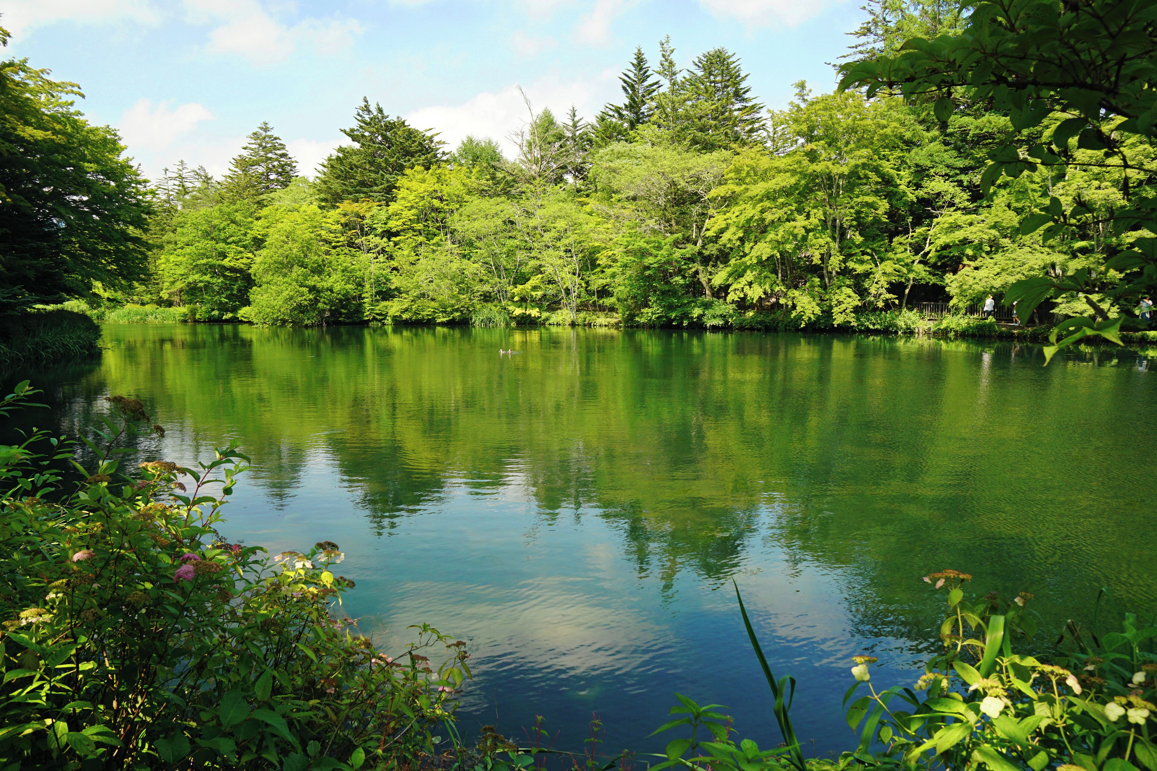 Kumoba-ike in Karuizawa, Nagano prefecture, Japan.