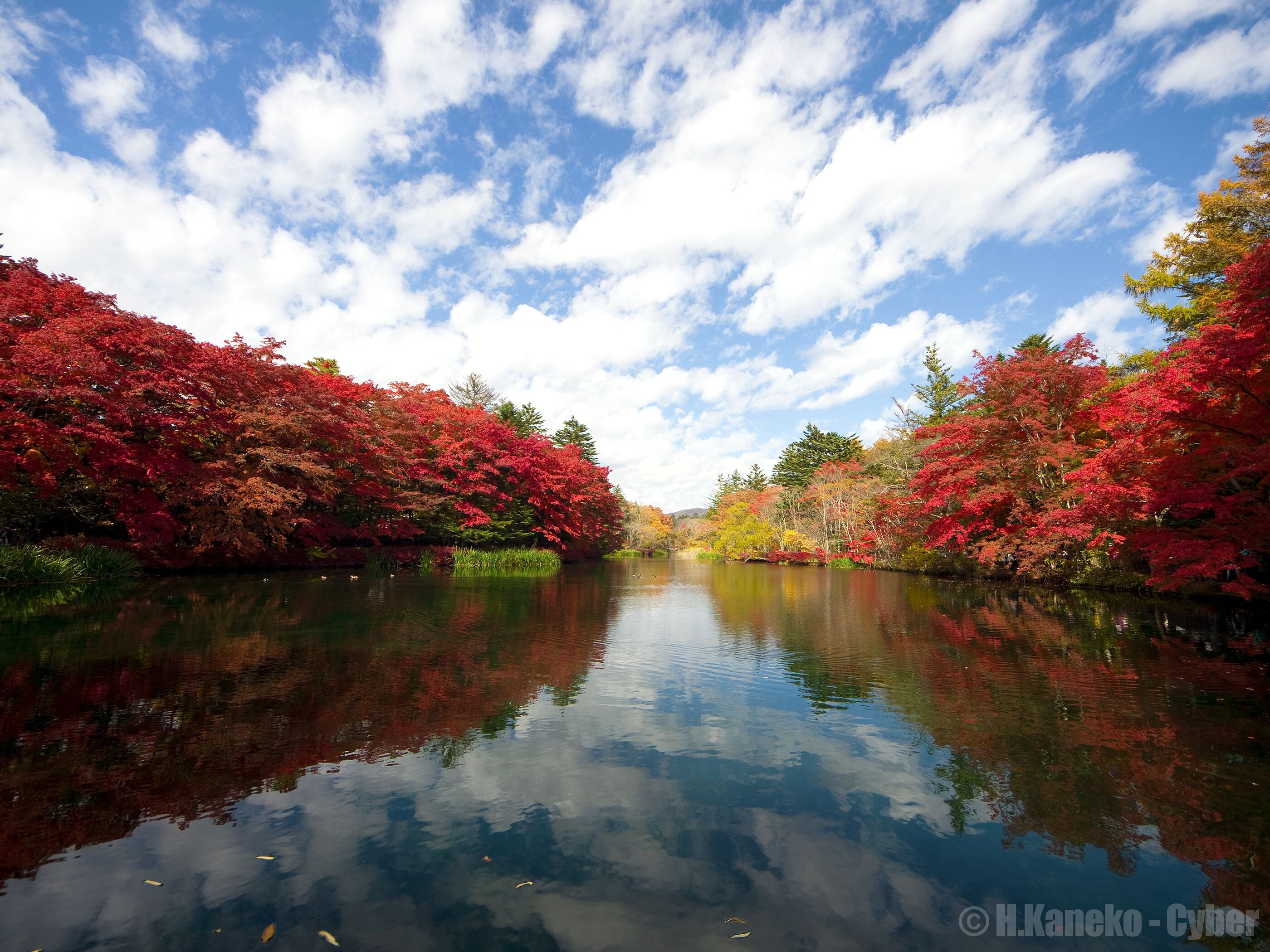 紅葉の雲場池 (Kumobaike pond in autumn) 26 Oct, 2014