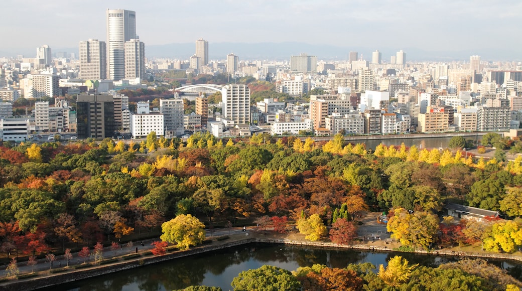 Osaka Castle