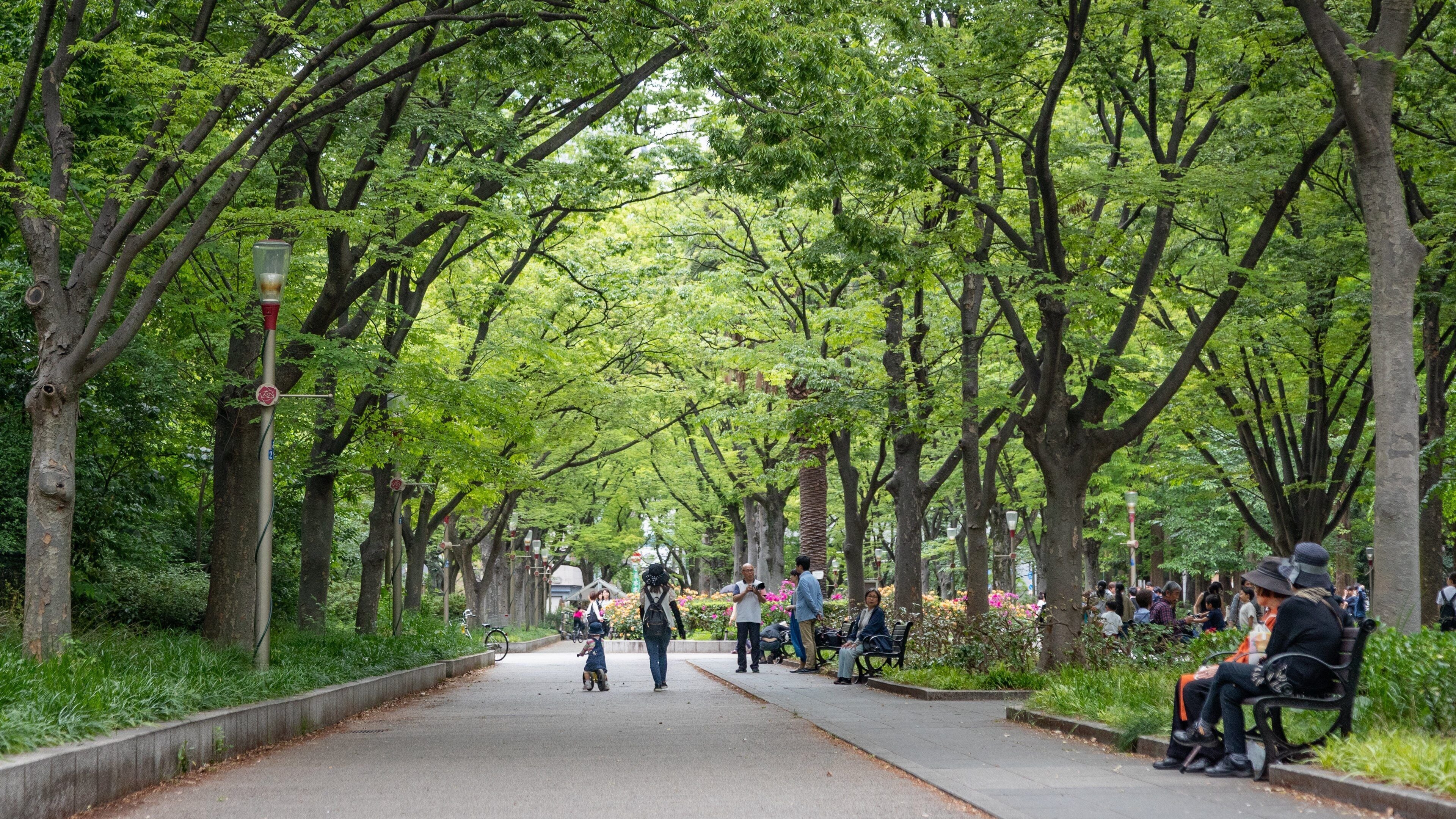 Kitahama showing a park