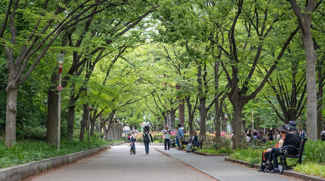 Kitahama showing a park