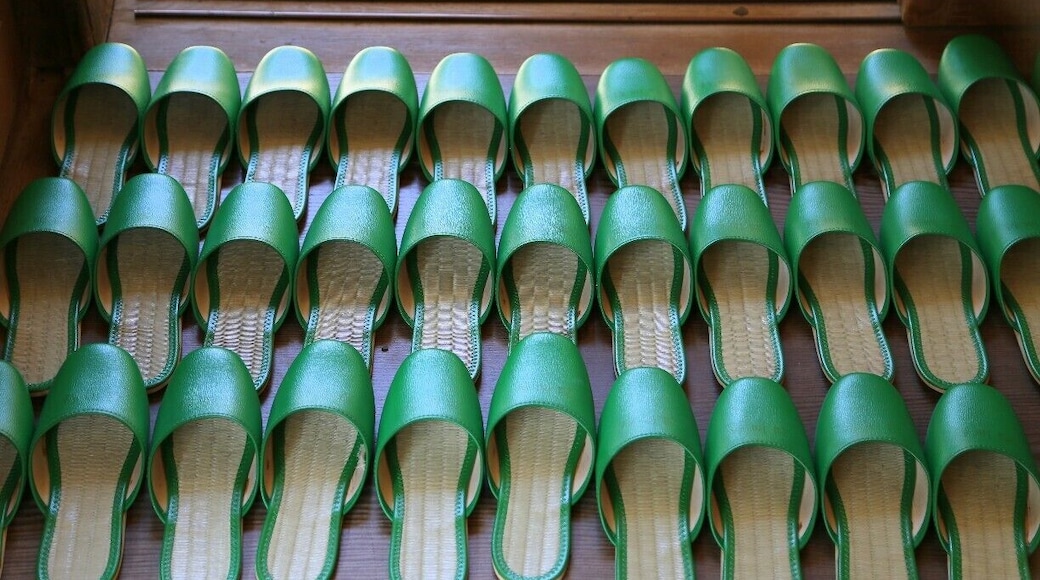 A sea of bright green slippers welcoming guests at Jimyoin Temple in Koyasan, Japan
