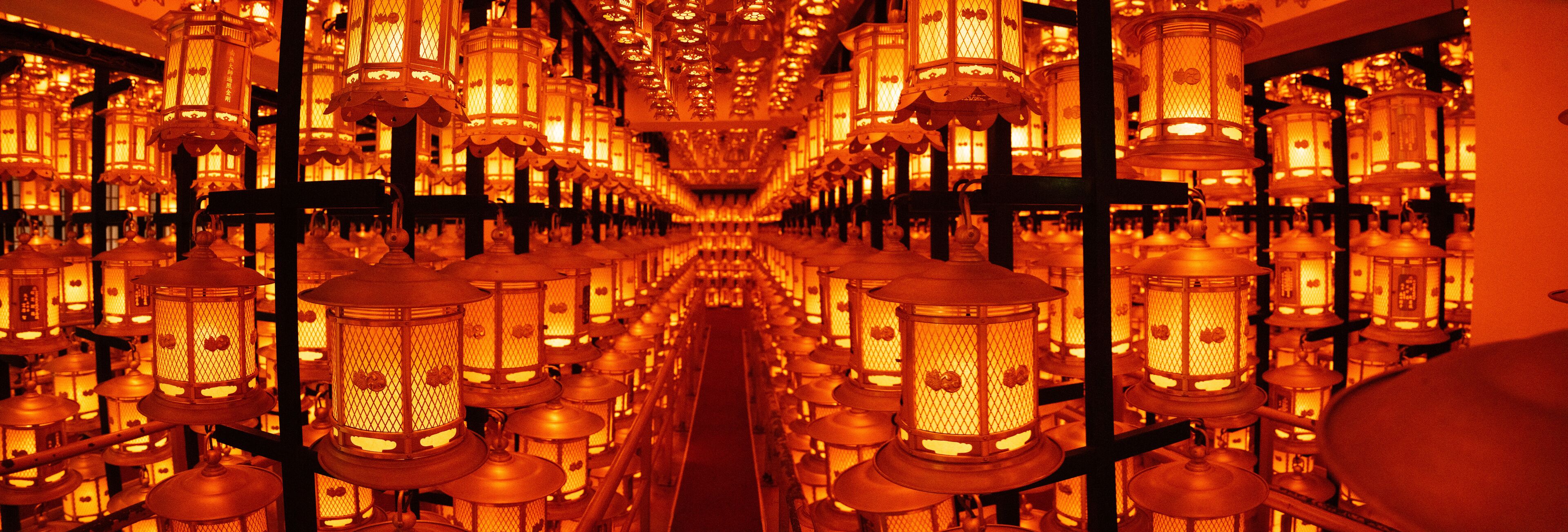 A corridor lined with numerous traditional lanterns, creating a warm and inviting atmosphere.