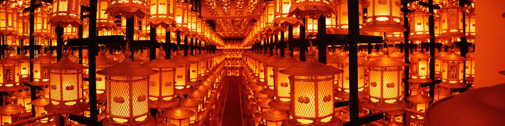 A corridor lined with numerous traditional lanterns, creating a warm and inviting atmosphere.