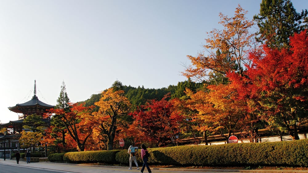 At Mount Kōya in Koya, Wakayama prefecture, Japan.