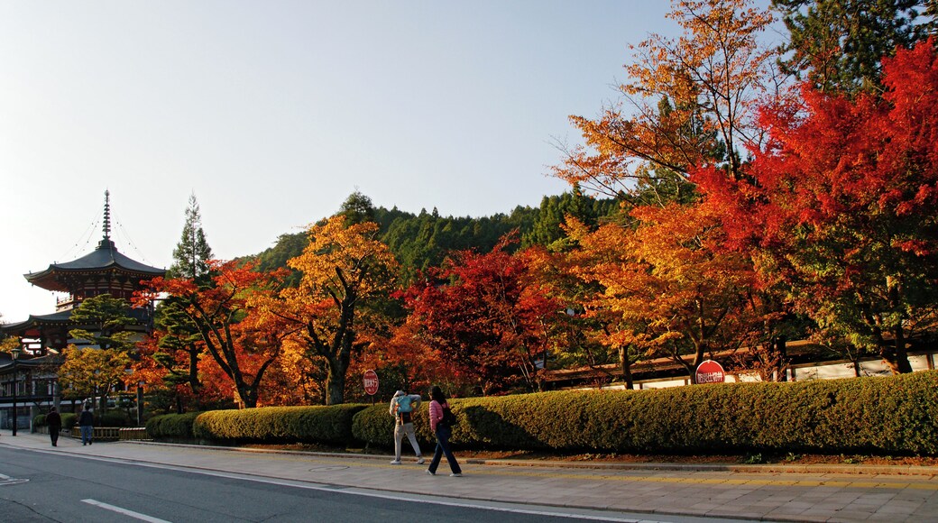At Mount Kōya in Koya, Wakayama prefecture, Japan.