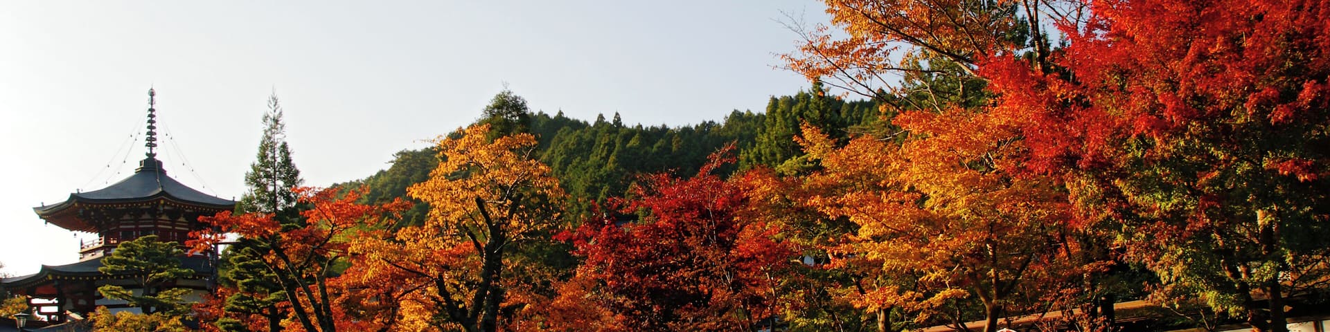 At Mount Kōya in Koya, Wakayama prefecture, Japan.