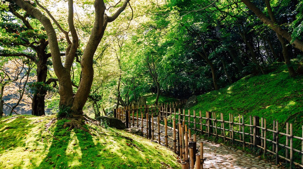 Ritsurin Park, Japanese traditional garden in Takamatsu, Japan