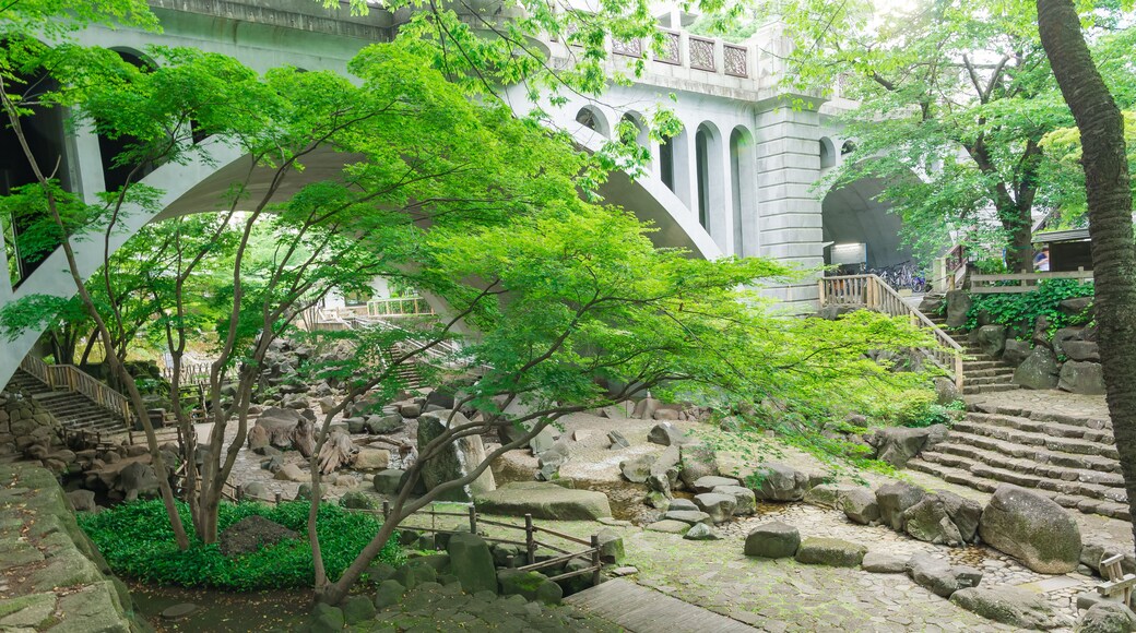 A traditional Japanese garden with stone pathways, a wooden bridge, and lush greenery.
