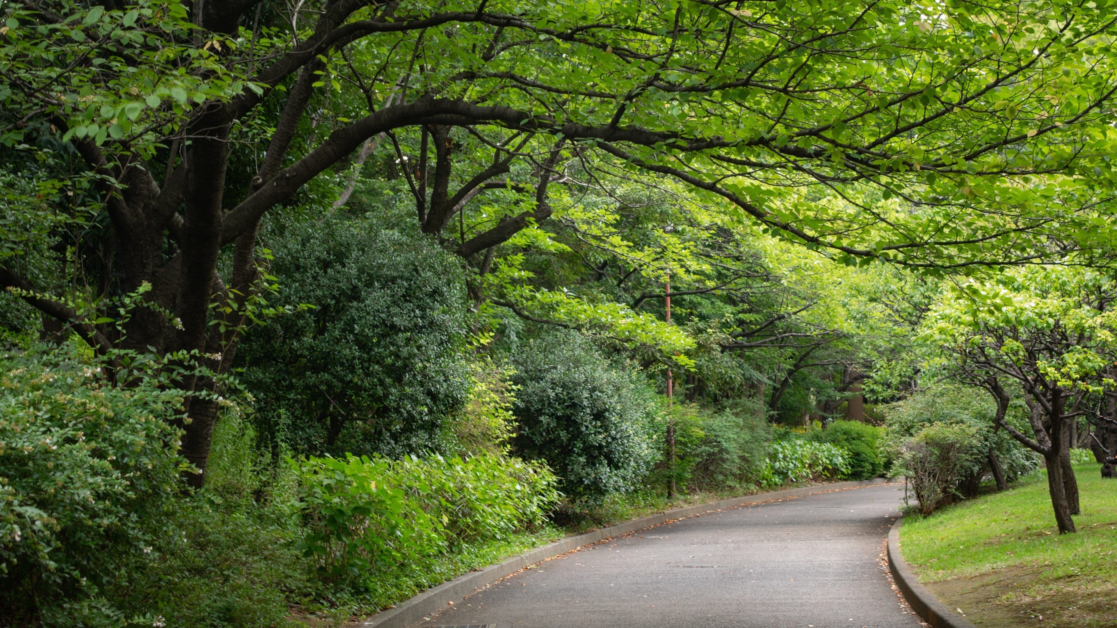 Haneda which includes a park
