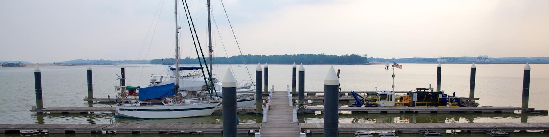 Danga Bay which includes a sunset
