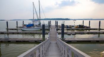 Danga Bay which includes a sunset
