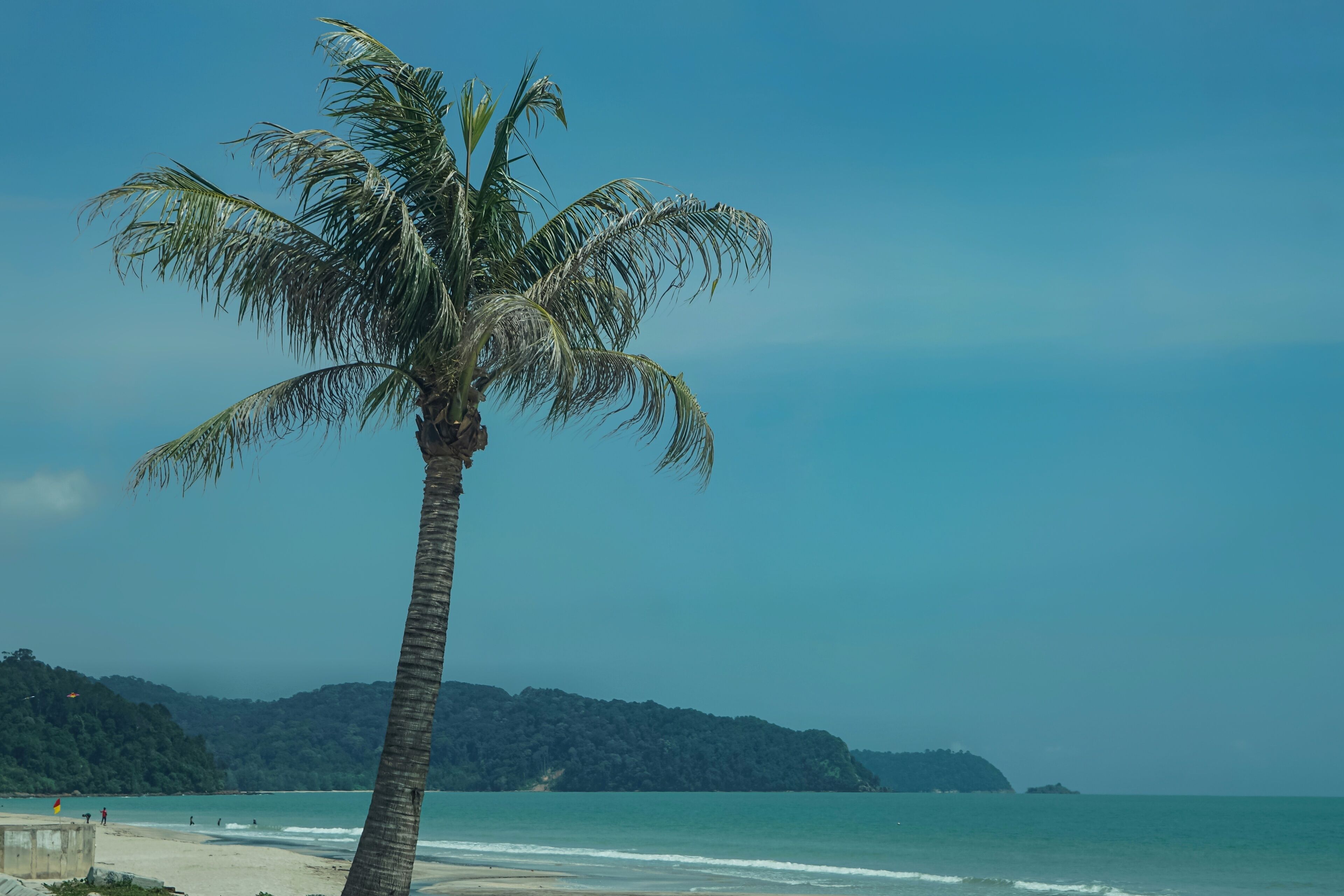 A palm tree, beach, ocean, and distant mountains.