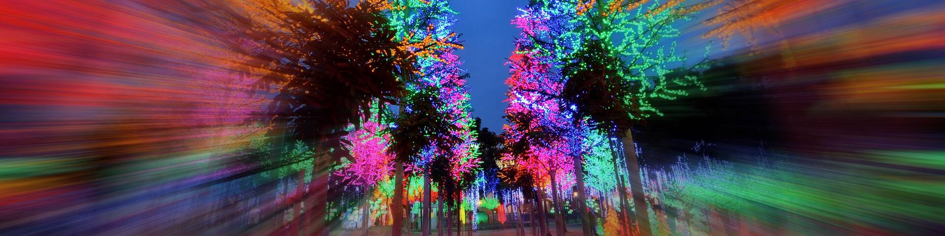 A tree-lined street with colorful lights.