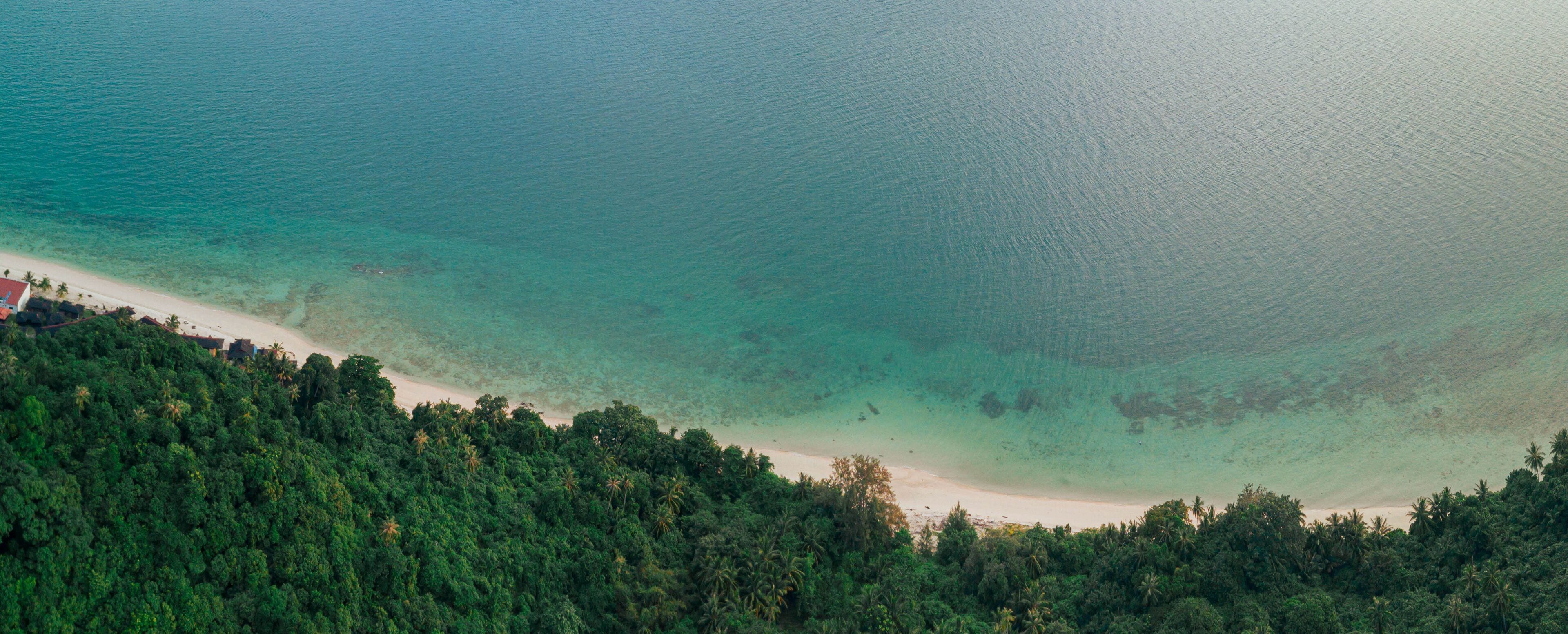 A beach with clear turquoise water and a dense forest in the foreground.