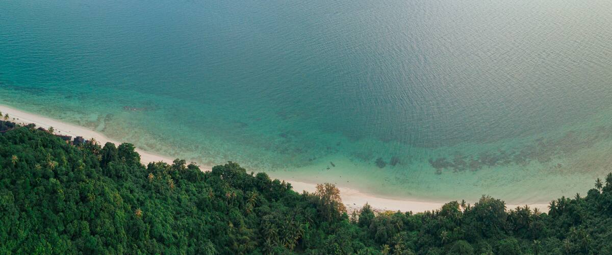 A beach with clear turquoise water and a dense forest in the foreground.