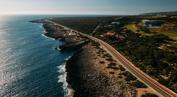 Aerial view top down view of of a straight road and rugged coastline at Guincho beach, Cascais, Portugal