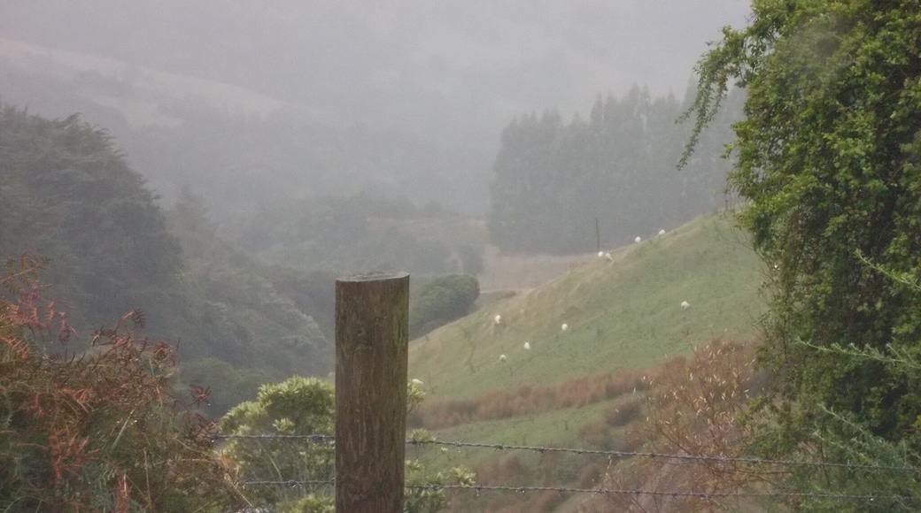 Pass Christchurch on the way to Akaroa. There is the Hilltop restaurant. Need to stop for a lamb-burger... And a great evening!