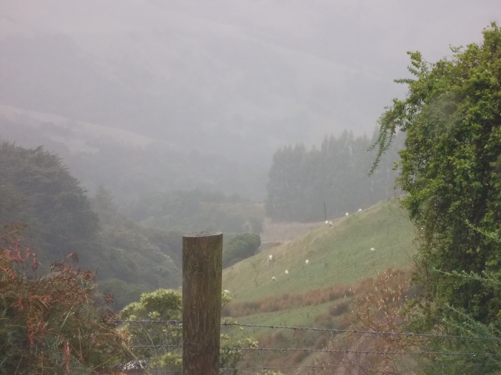 A foggy landscape with a wooden fence, green hills, and sheep grazing.