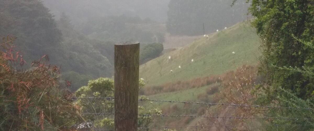 A foggy landscape with a wooden fence, green hills, and sheep grazing.