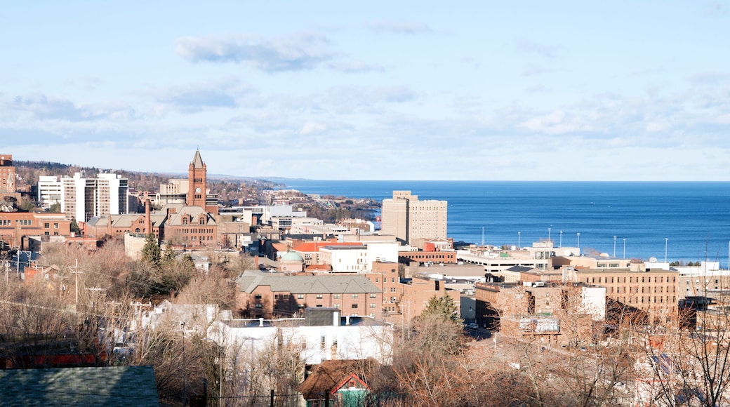 ๋ค์ดํ์ด ๋๋ฃจ์ค