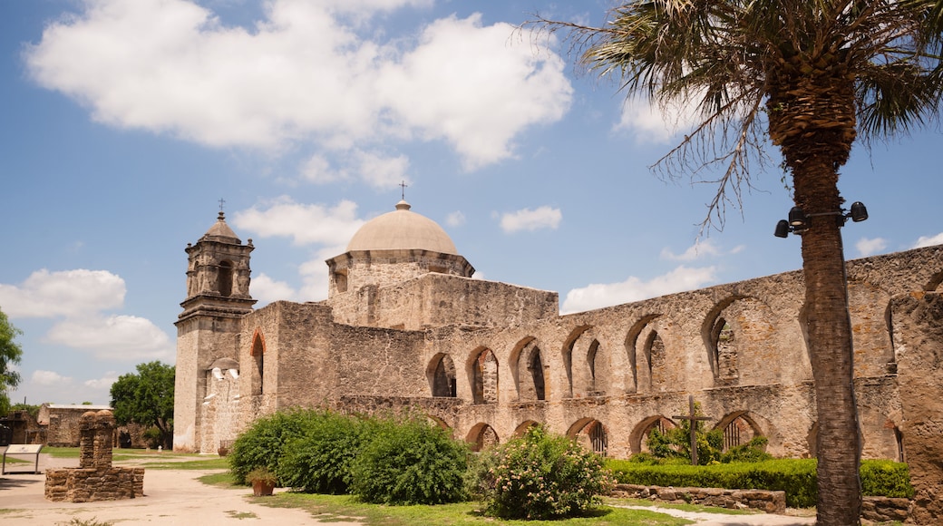 Un antiguo edificio de piedra con una cúpula y un campanario, rodeado de follaje y palmeras.