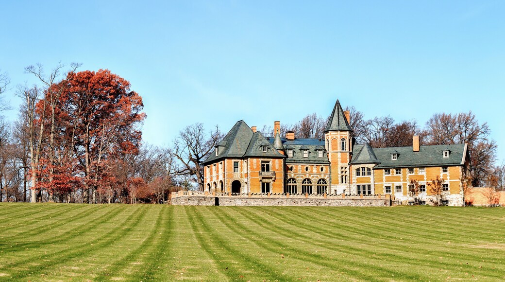 Elkins Park